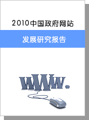 2010年中国政府网站发展研究报告