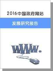 2016年中国政府网站发展研究报告